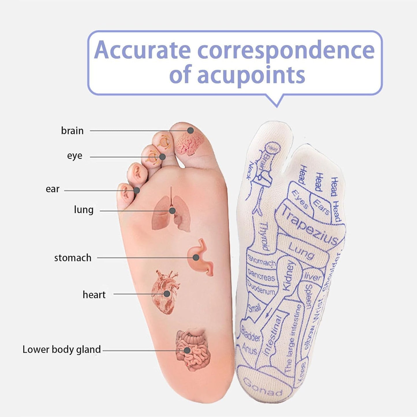 Reflexology Chart Socks