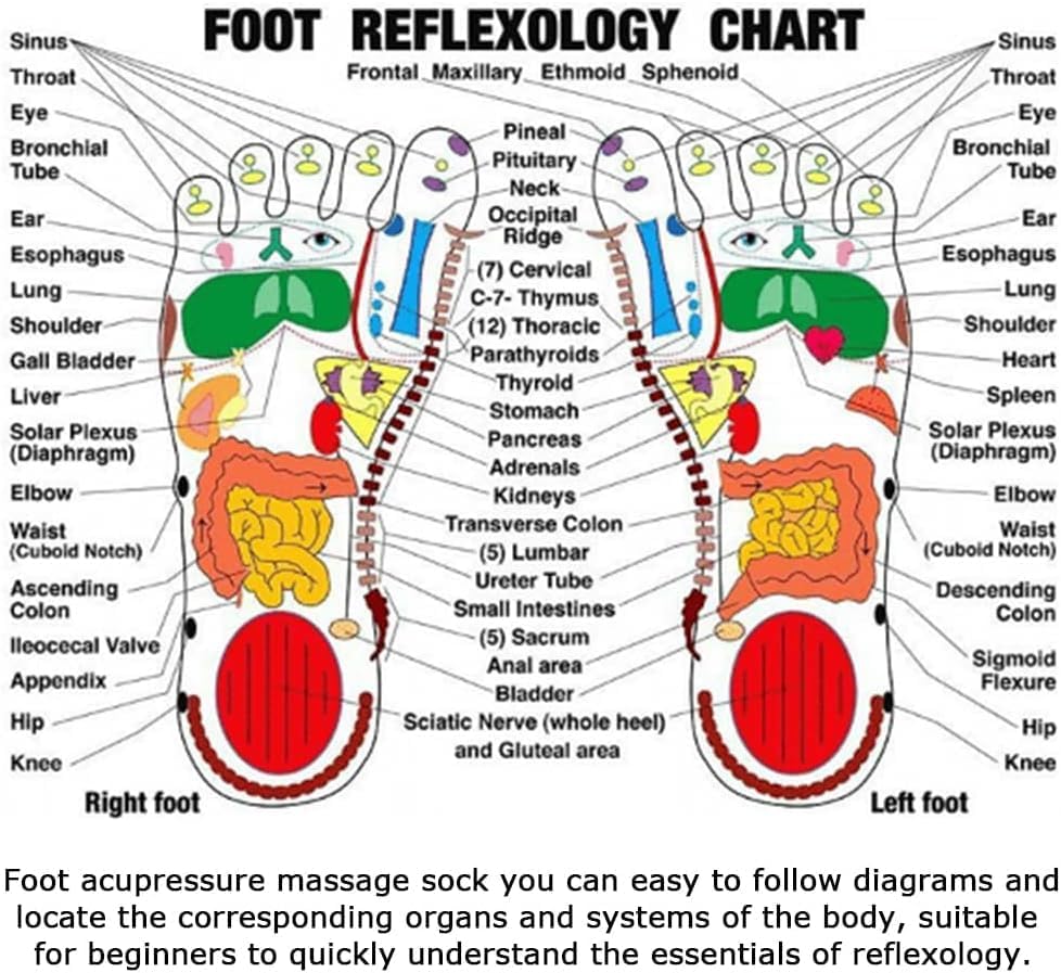 Reflexology Chart Socks